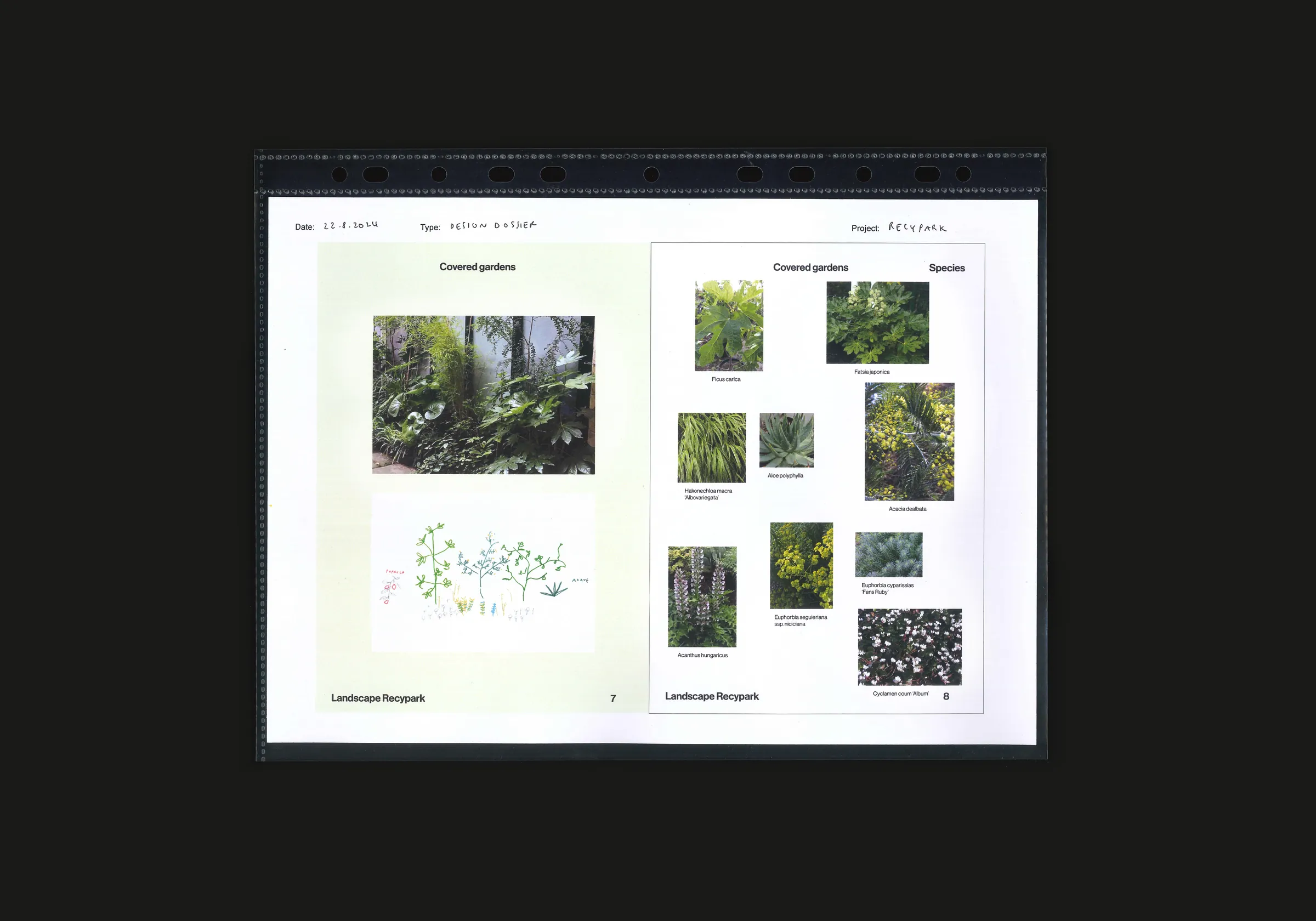 Project image